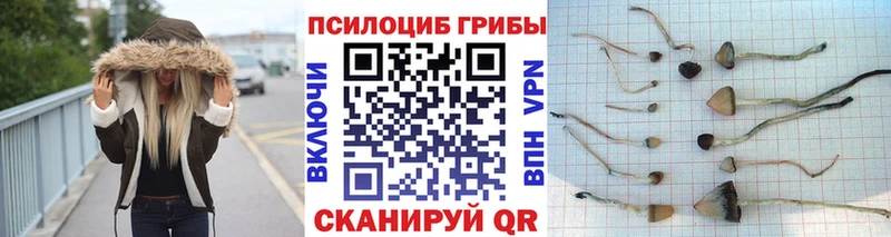 Галлюциногенные грибы Magic Shrooms  omg как войти  Каневская 